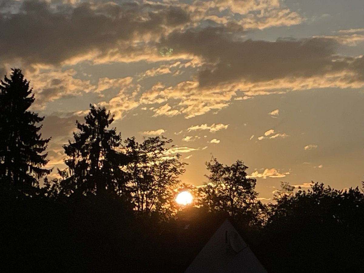 Petra Zoffmann 🕊️🇦🇹 🇮🇩 tweet media