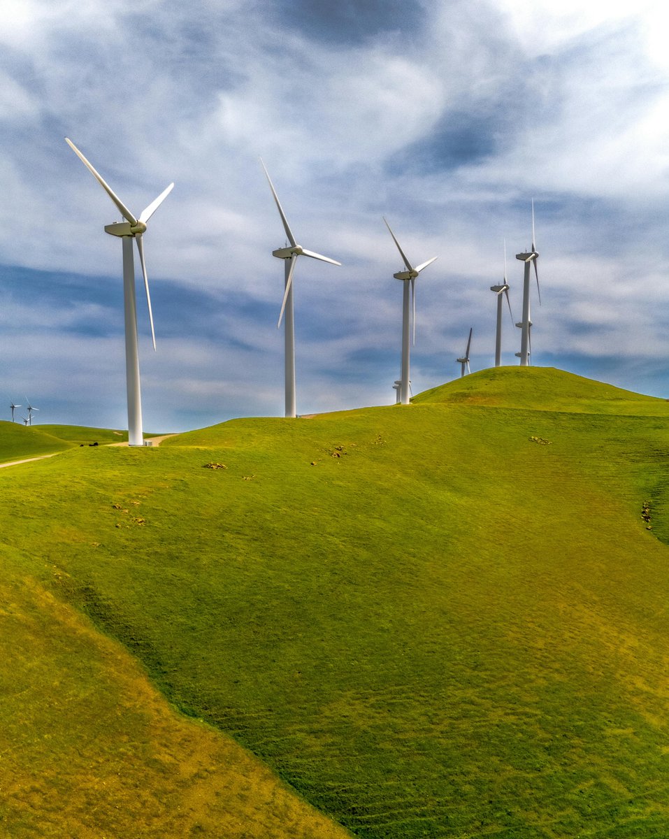 Angel Perez Santa tweet media