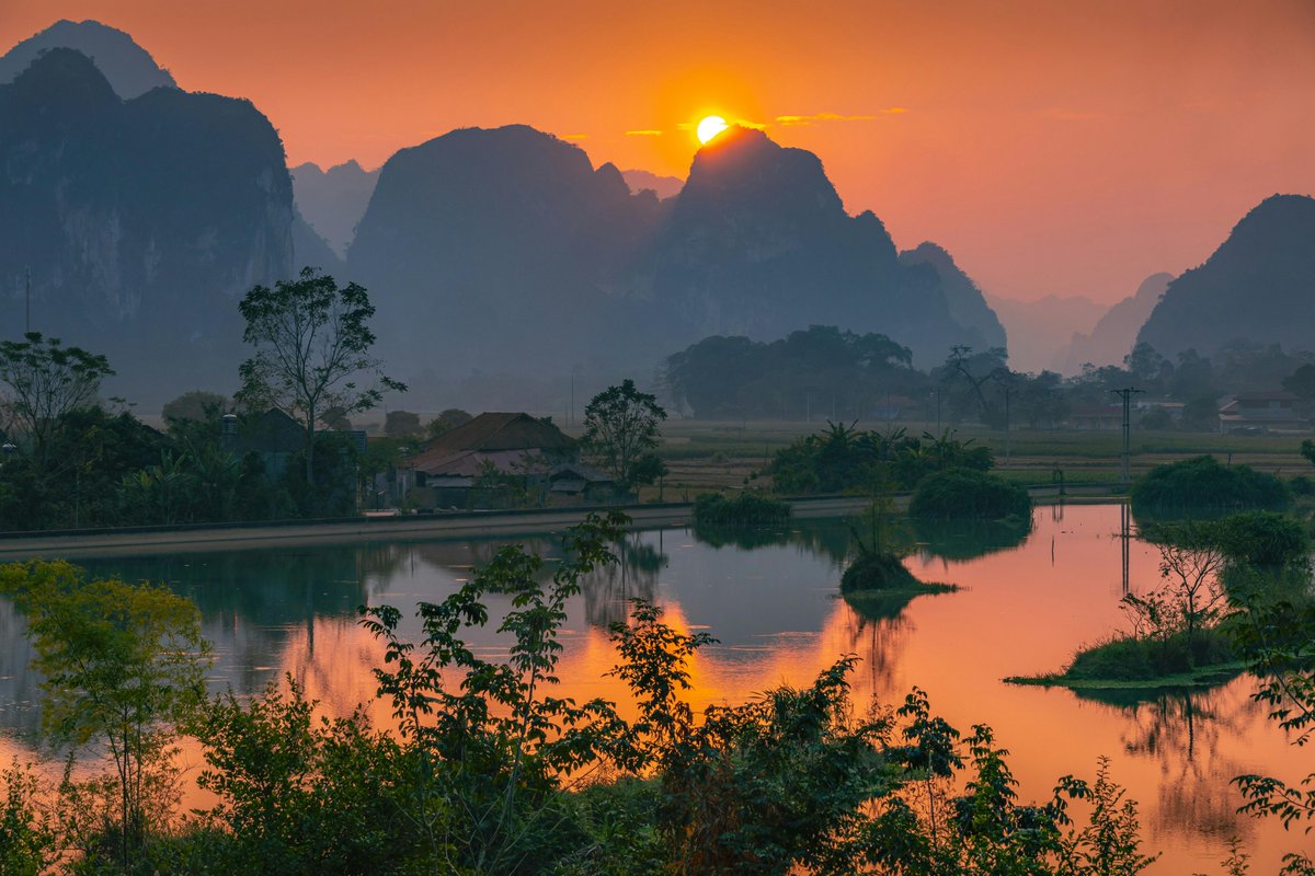 im back bitch tweet media