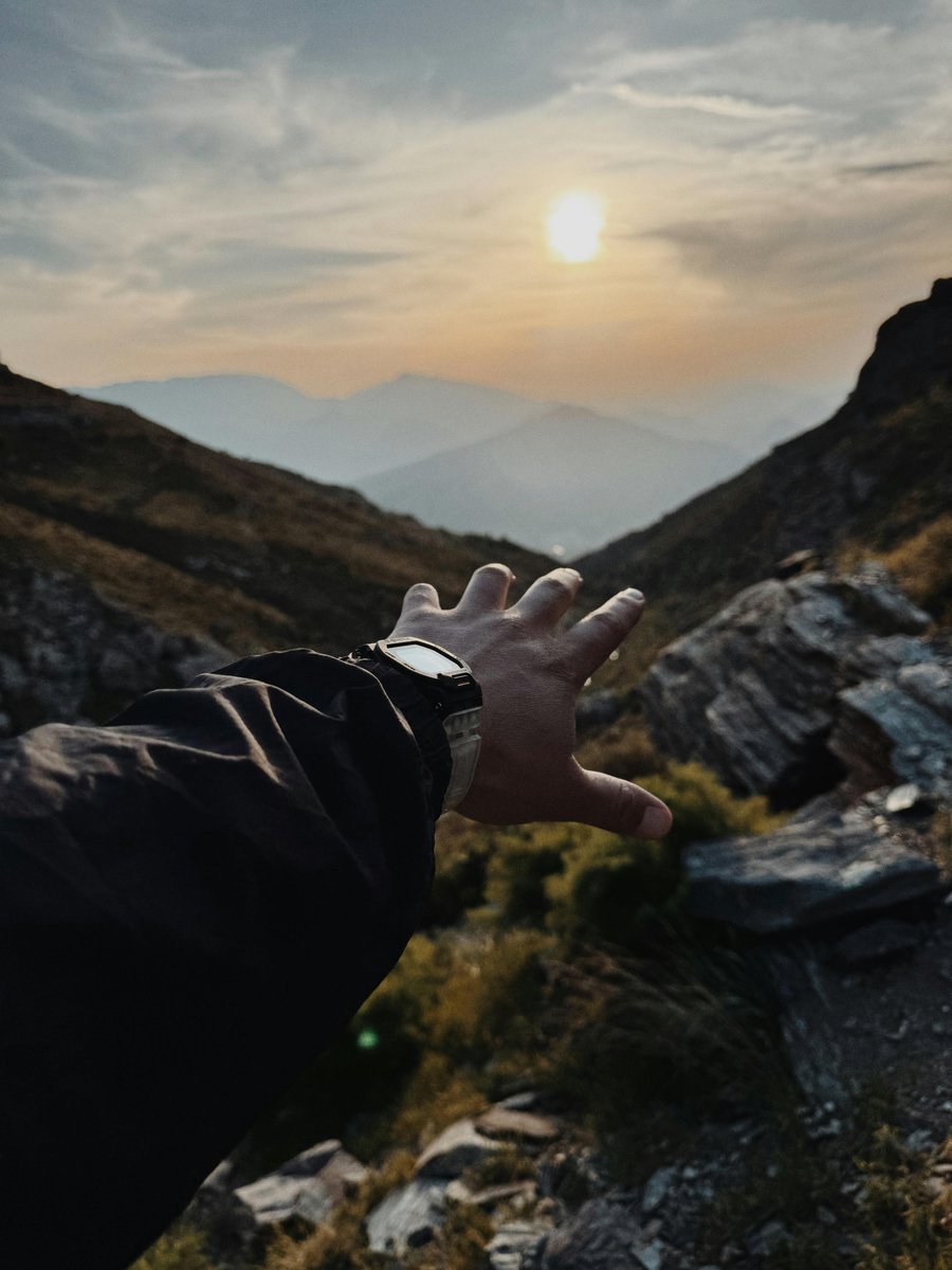 Fugz Token Official tweet media