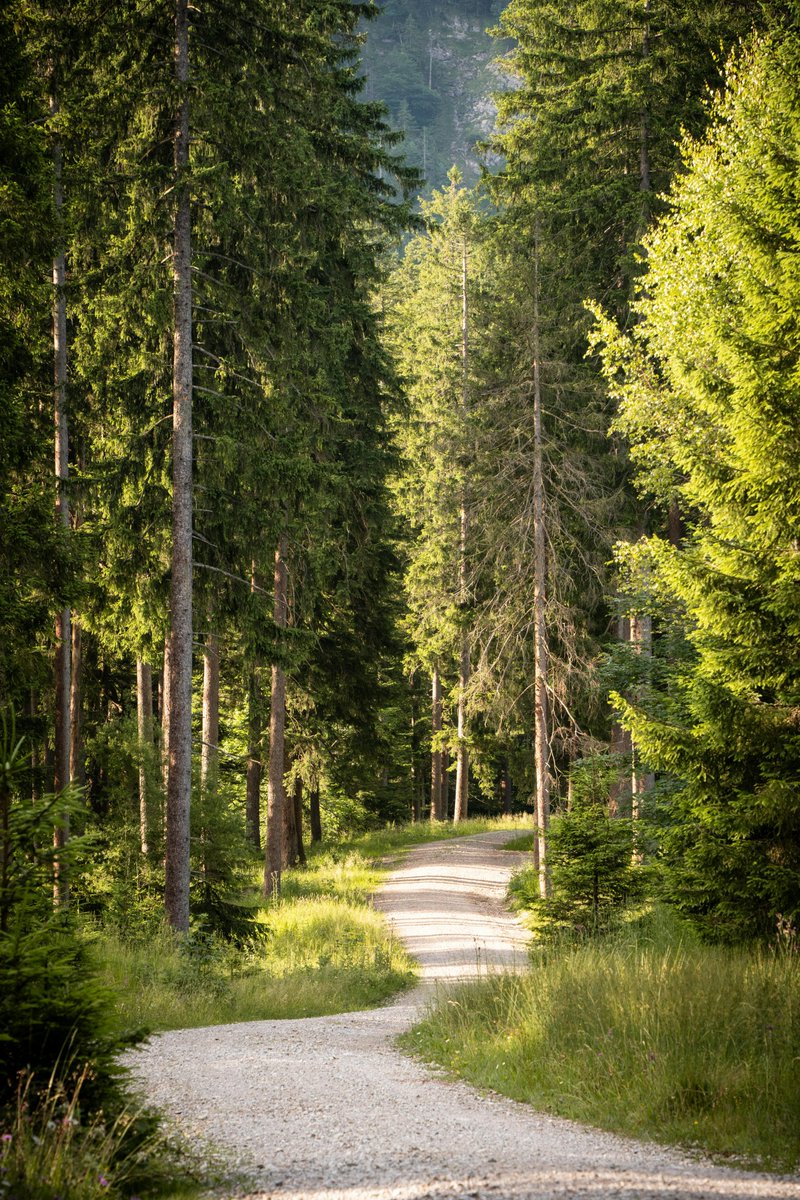 rumbo🔆 tweet media