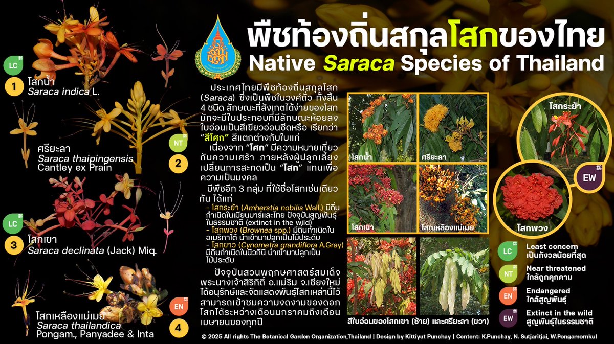 องค์การสวนพฤกษศาสตร์ tweet media