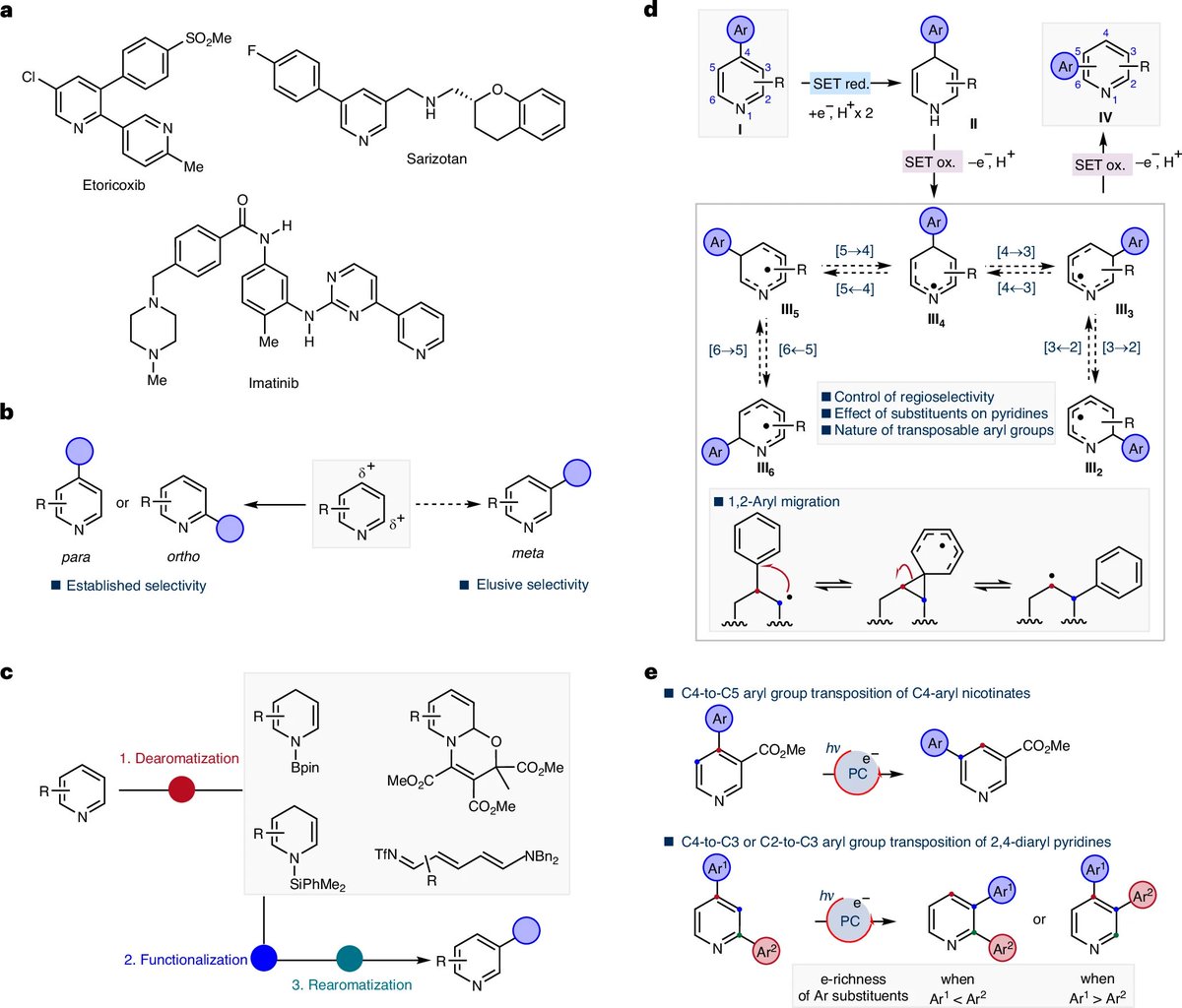 NatureAsia's tweet image. Peripheral aryl group transposition on pyridines using photoredox catalysis
nature.com/articles/s4416…
@NatureSynthesis #OA #OpenAccess paper by Shunsuke Chiba et al.
@ntusg
#PhotoredoxCatalysis #OrganicSynthesis #PyridineChemistry #LateStageFunctionalization #MedicinalChemistry