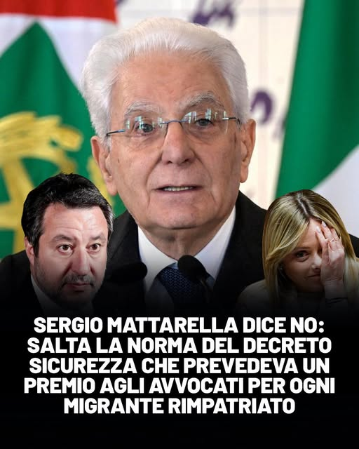 SereBellardinelli tweet media