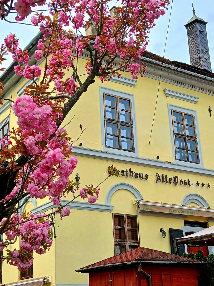 Travel_2Romania's tweet image. Aspectele zilei - 20 aprilie 2026❤️🏰🌸 Cetatea Sighișoara 
#sighisoara #park #clocktower #citadel #cityview #springvibes #UNESCO #oldtown #Perla #April #transilvania #travelblogger 
📷 Transilvania Photobook