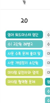 도램이 tweet media