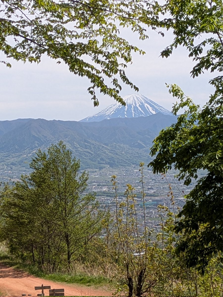 あさり東京四池 tweet media