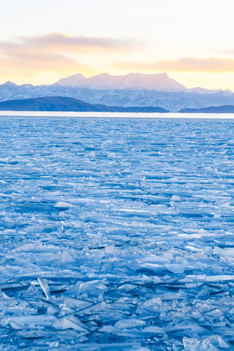 Yang Tiro tweet media