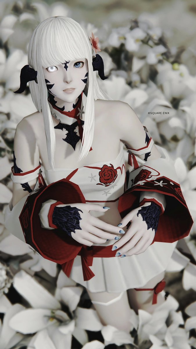 Co & Anny tweet media