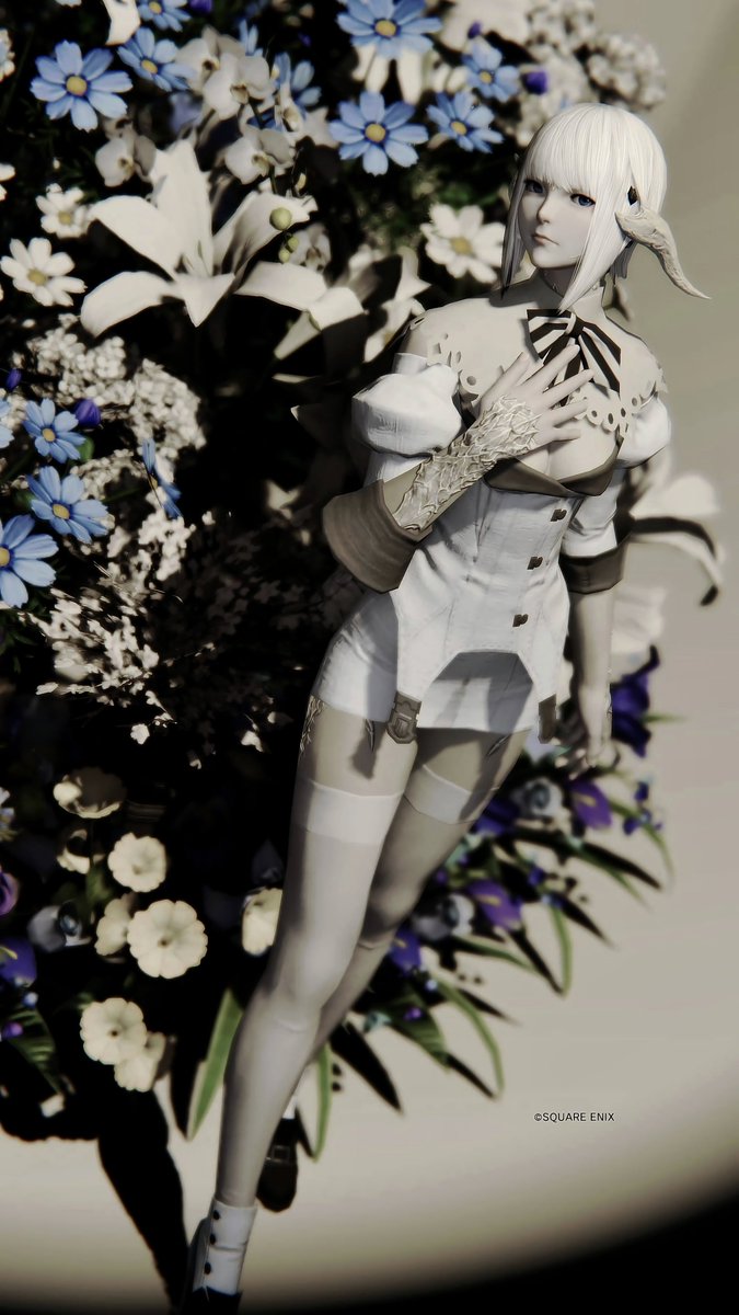 Co & Anny tweet media