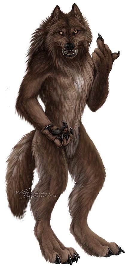 금향이 tweet media