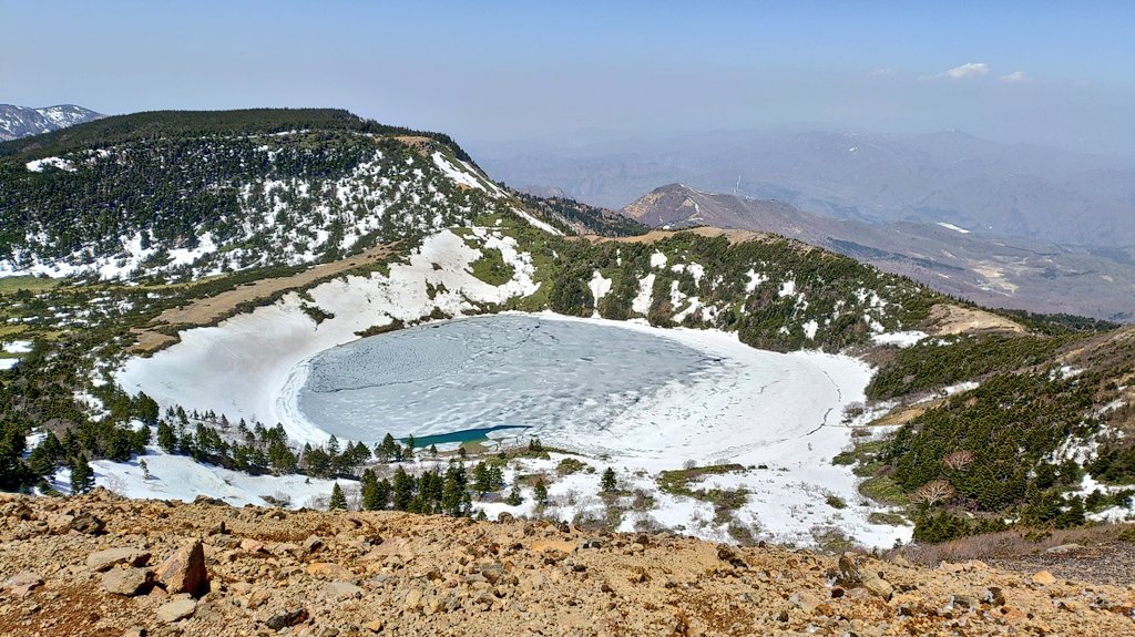 マナドーナ tweet media