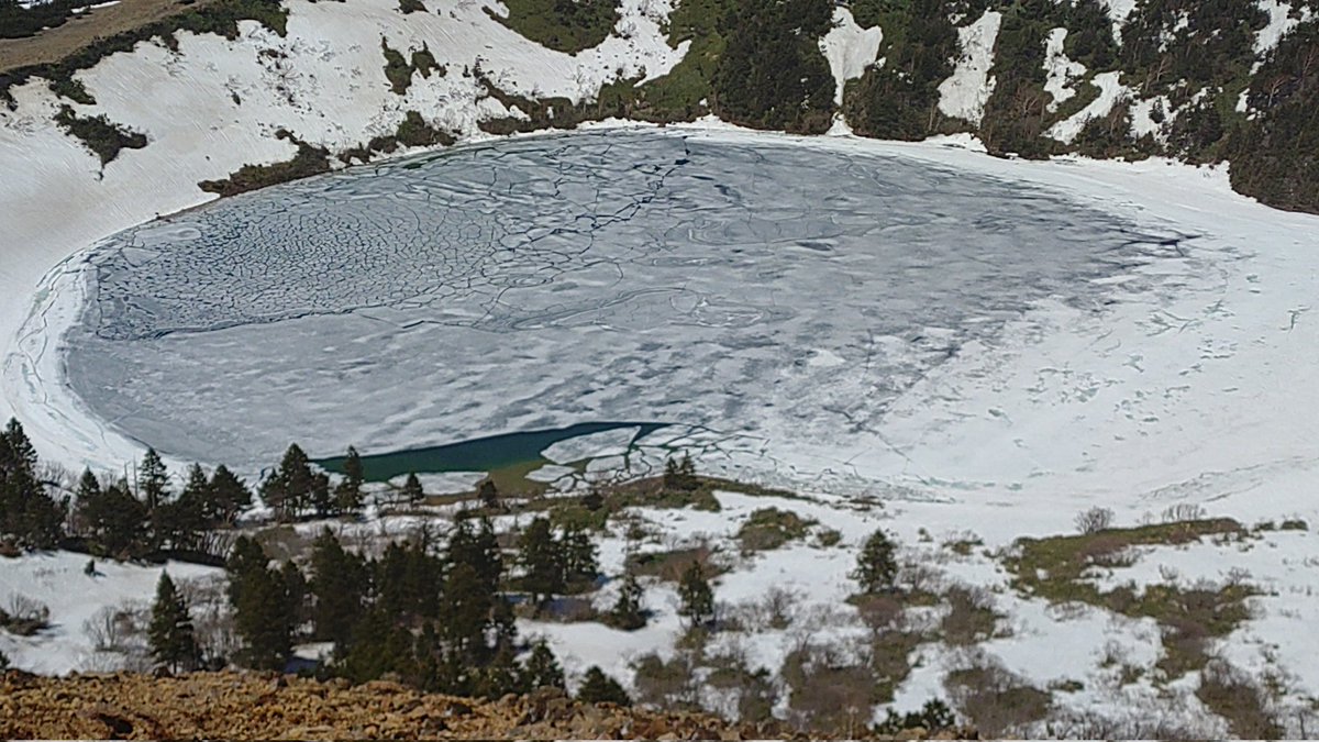 マナドーナ tweet media