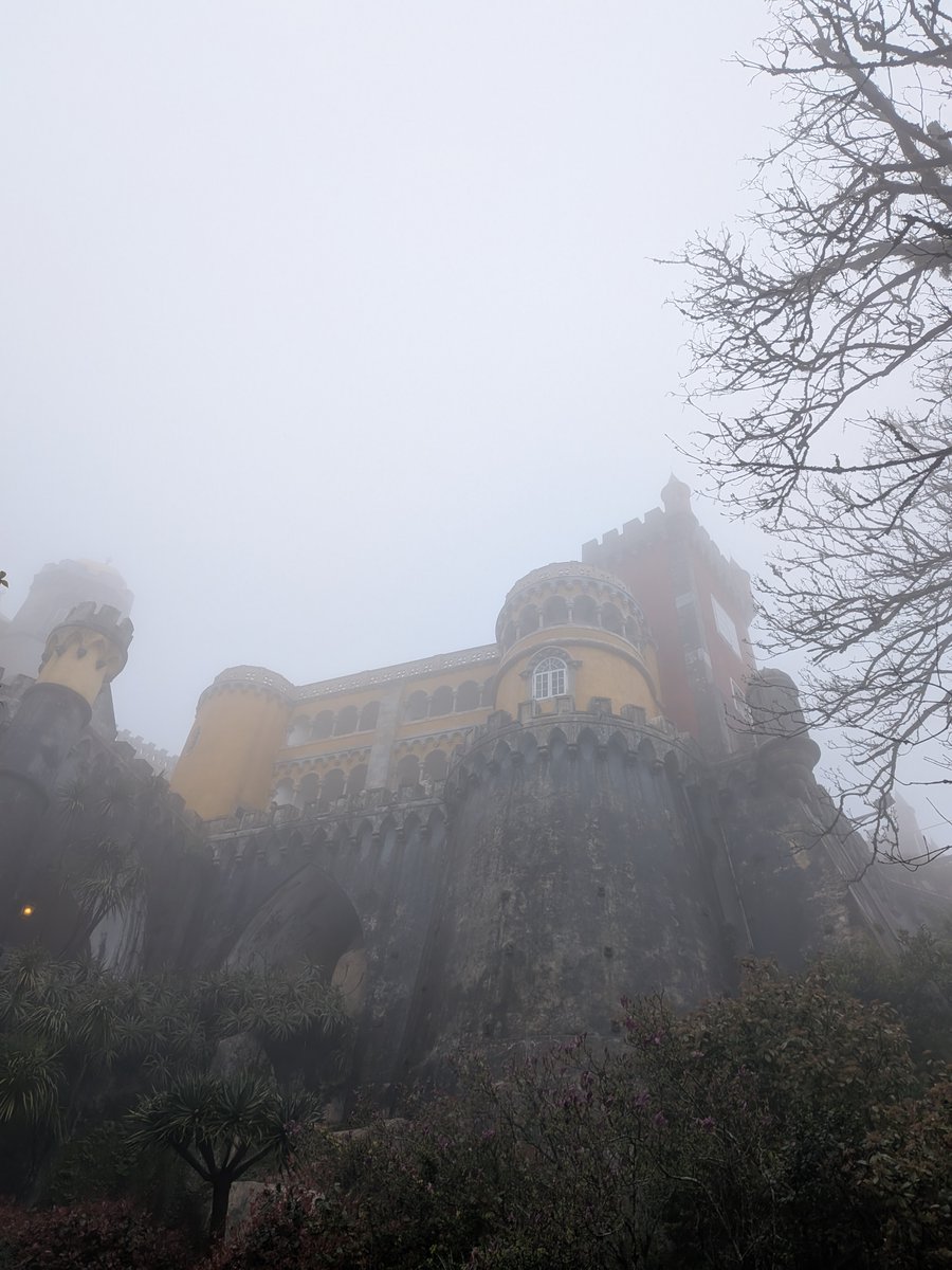 eugeneyiga's tweet image. #Sintra and #Cascais day trip. Small group, great guide, everything pre-organized. Pena Palace is as fairy-tale as it looks. Sometimes paying for professional logistics is worth it 🏰 instagram.com/eugene.yiga/p/…