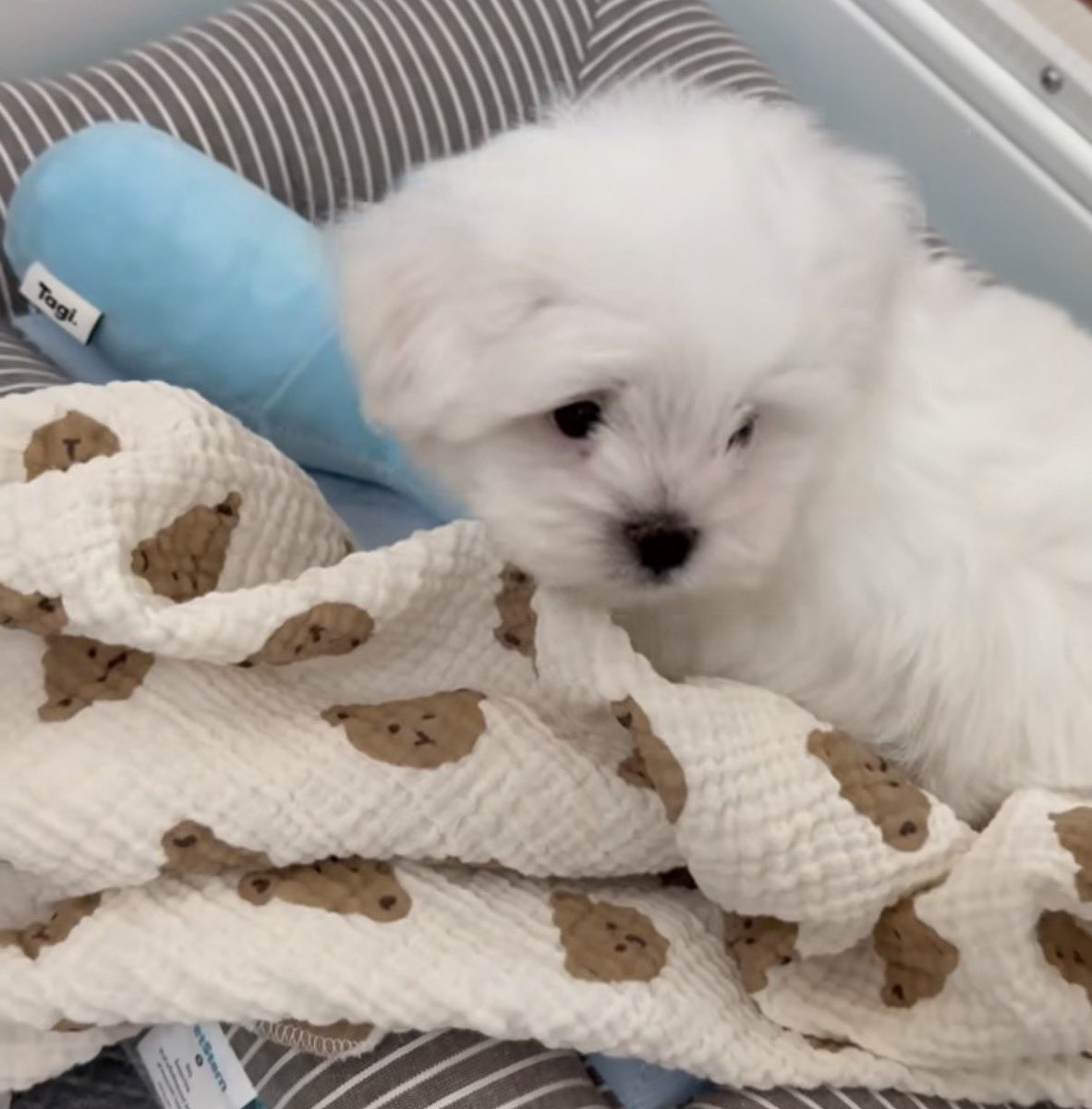 sass(y) ʚ♡⃛ɞ tweet media