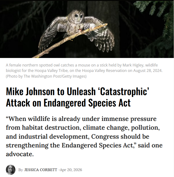 Seventy eight percent of Americans support the Endangered Species Act.  Congress does not represent us y'all