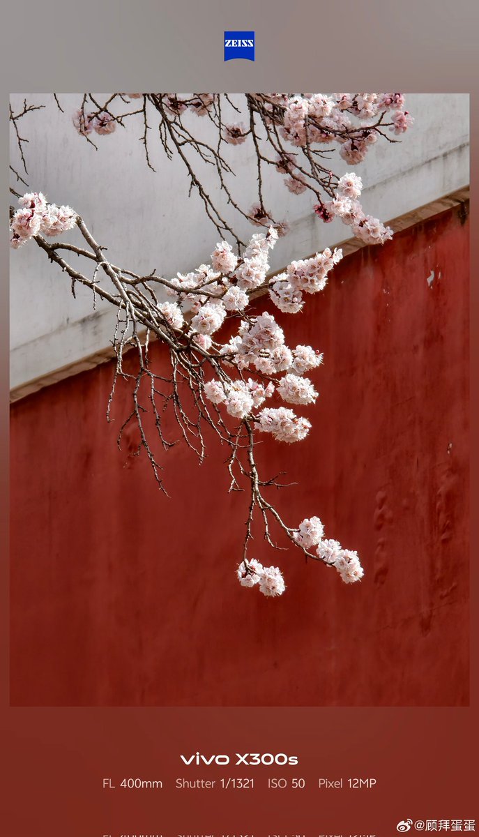 ayansonunigam's tweet image. Vivo X300s 🚨

Camera samples 👇 Using 200mm Teleconverter❗ 
#vivo #vivoX300s