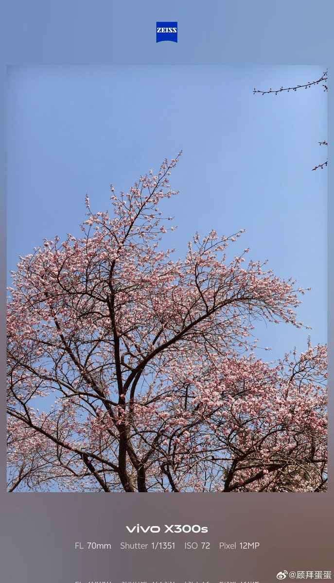 ayansonunigam's tweet image. Vivo X300s 🚨

Camera samples 👇 Using 200mm Teleconverter❗ 
#vivo #vivoX300s