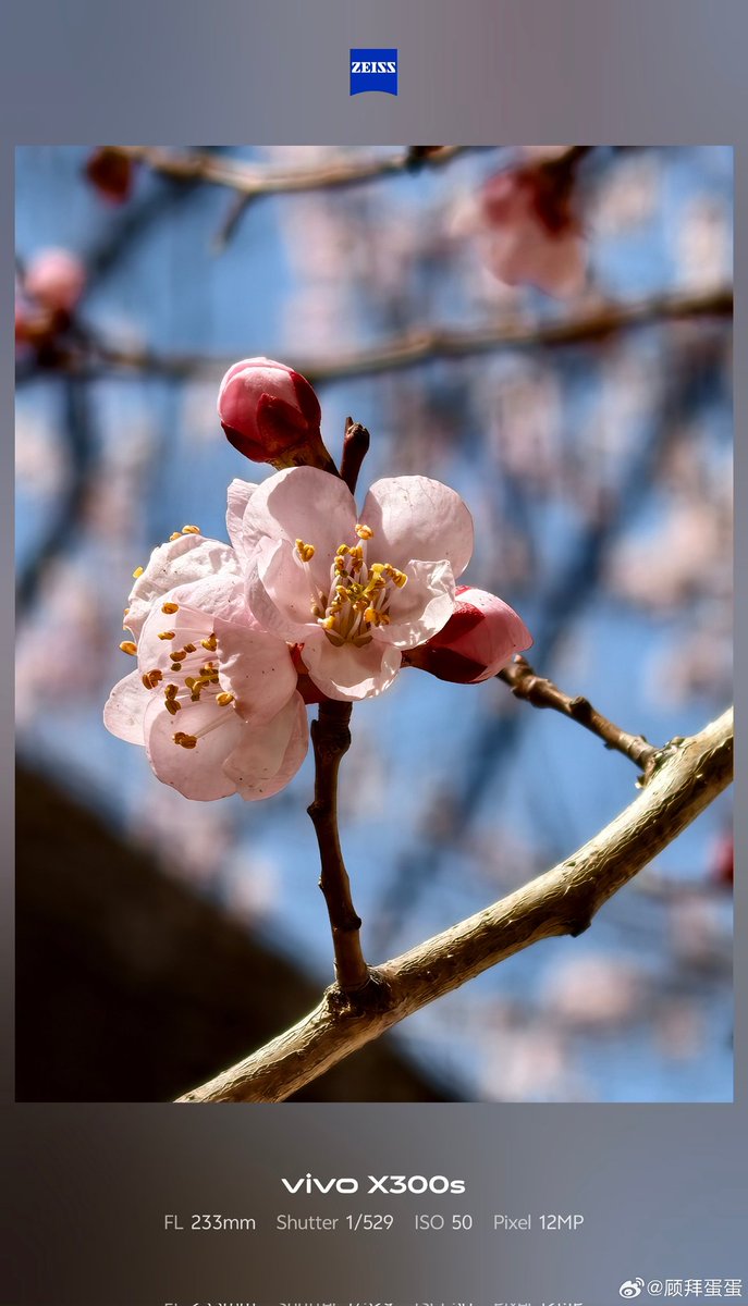 ayansonunigam's tweet image. Vivo X300s 🚨

Camera samples 👇 Using 200mm Teleconverter❗ 
#vivo #vivoX300s