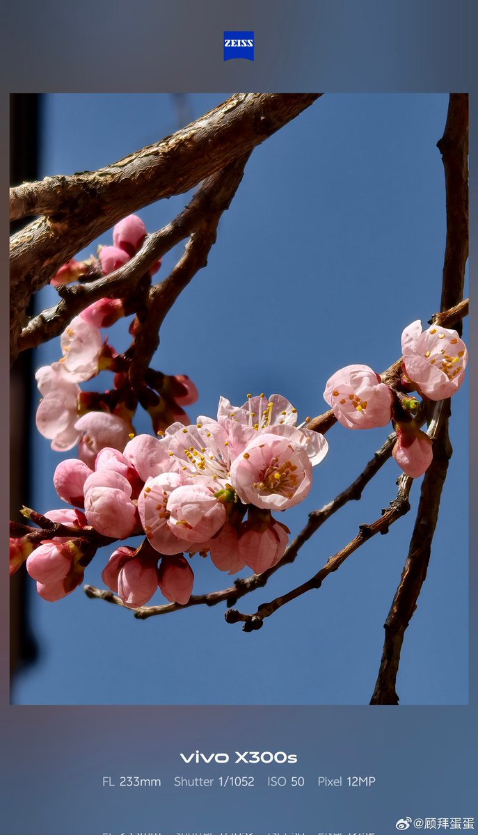 ayansonunigam's tweet image. Vivo X300s 🚨

Camera samples 👇 Using 200mm Teleconverter❗ 
#vivo #vivoX300s