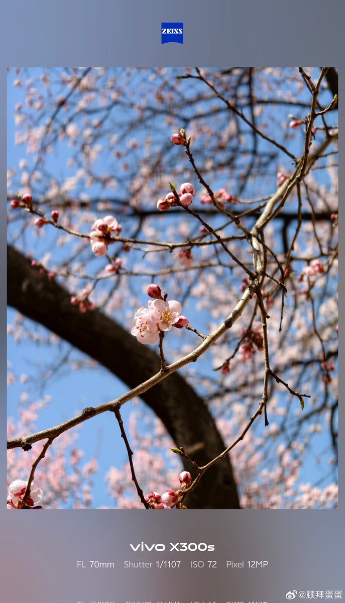ayansonunigam's tweet image. Vivo X300s 🚨

Camera samples 👇 Using 200mm Teleconverter❗ 
#vivo #vivoX300s