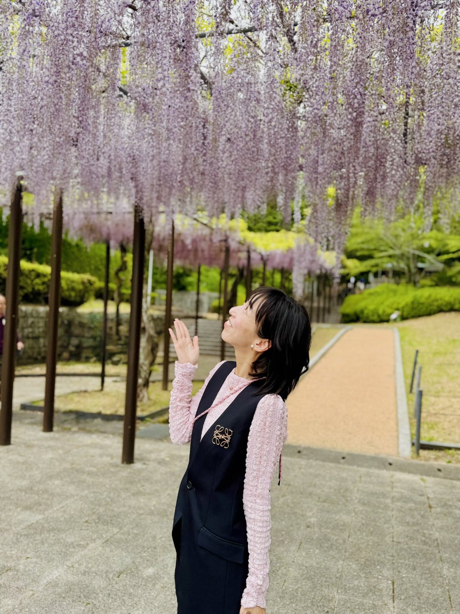 島田真梨子｜フリーアナウンサー🎤｜話し方講師 tweet media