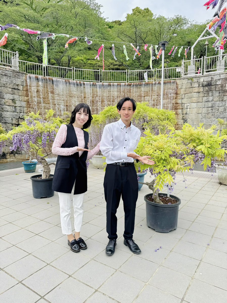 島田真梨子｜フリーアナウンサー🎤｜話し方講師 tweet media