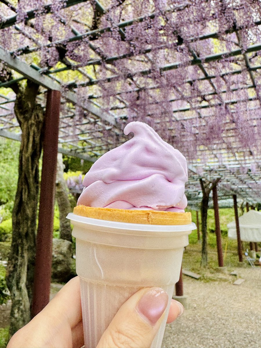 島田真梨子｜フリーアナウンサー🎤｜話し方講師 tweet media