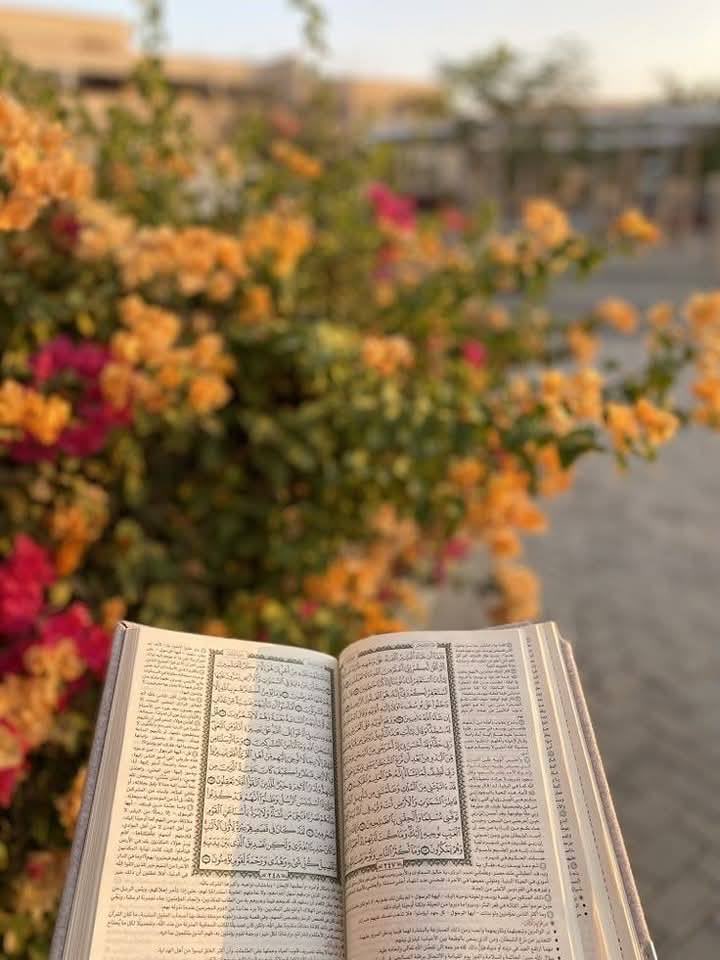 ftamysa's tweet photo. «لم أجِد سوى القرآن مؤنِسًا، ولم أجد أوفى من القرآن صاحبًا، رفيق السفرِ والحضر، عزيزًا في معانيه، جليلًا بمقاصِده، تُستَقى منه الحِكمة، وتُرفَع بهِ الهمة، وتطمئن إليه الأفئدة». https://t.co/y4a0FZTtl3