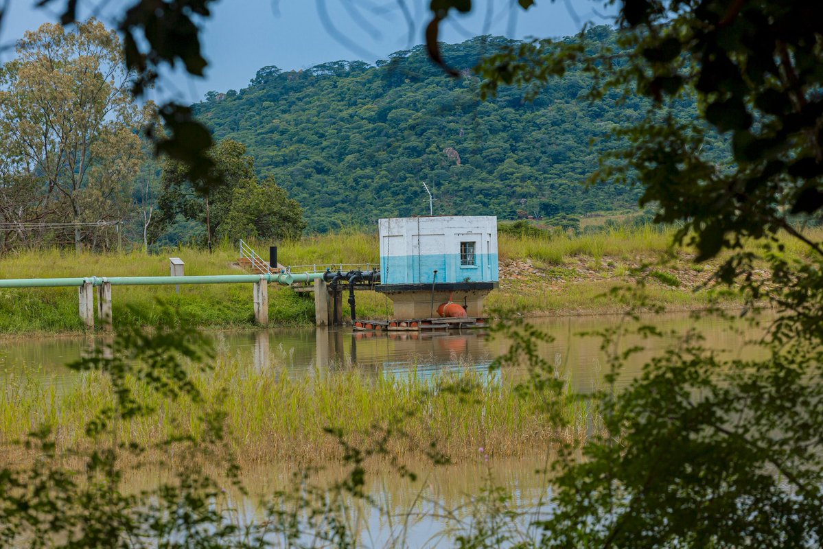 S A B I S T A R tweet media