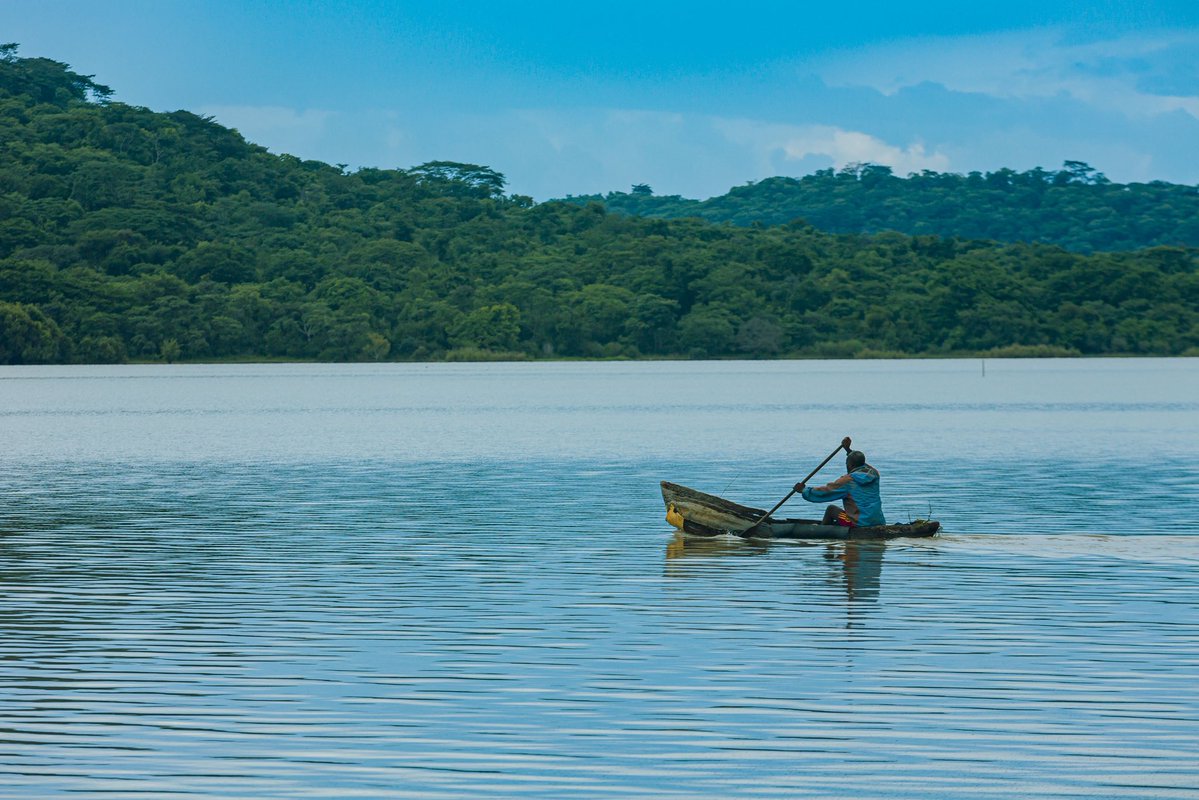 S A B I S T A R tweet media