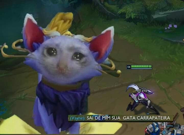 acervo yuumi tweet media