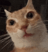 JustAColombian tweet media