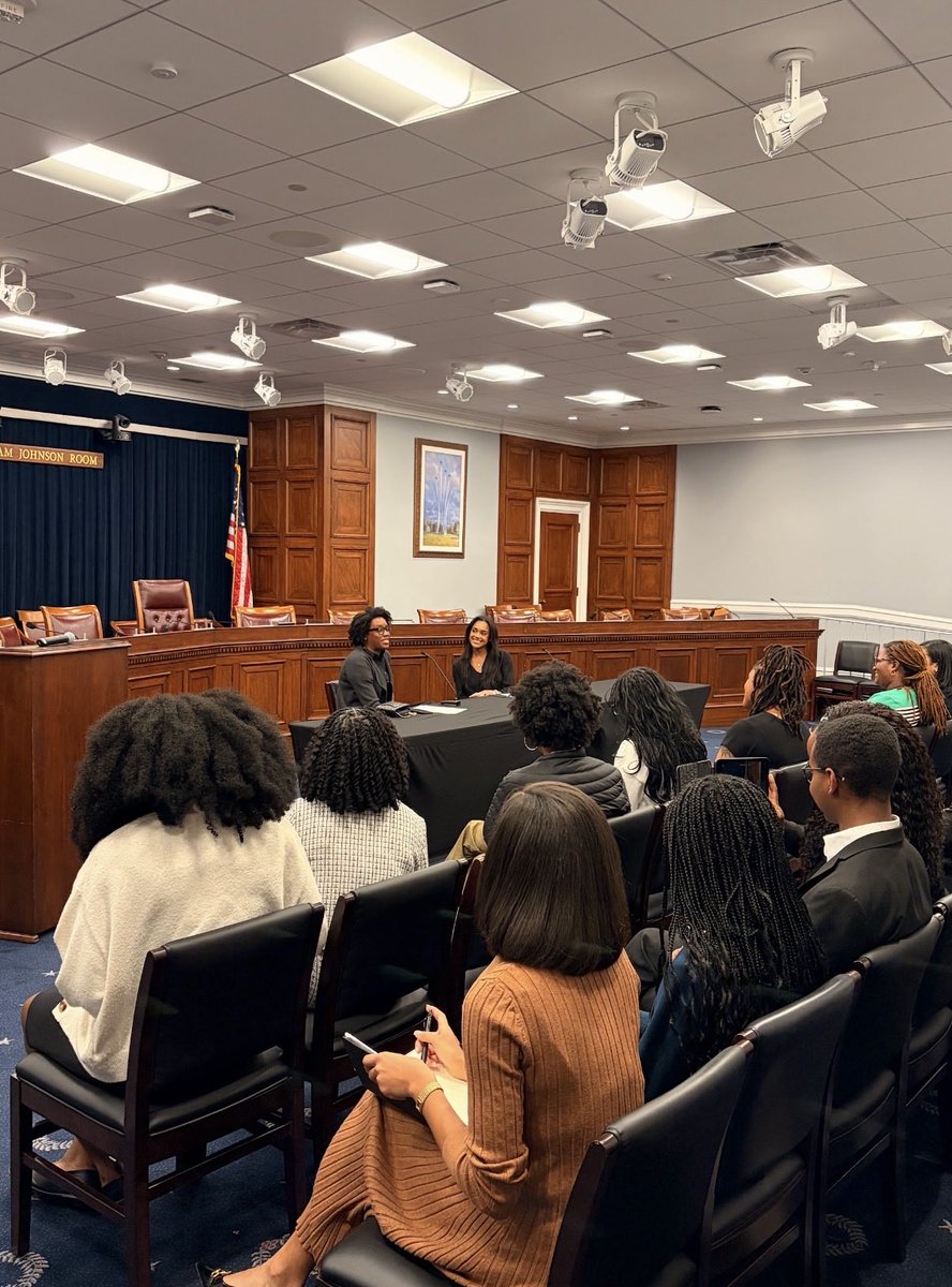 BWCADC's tweet photo. A special thank you to our members for joining our fireside chat with @RepUnderwood!

Hosted by @CapitolHillCBA, @BWCADC, &amp; @sblsc1977, we were grateful to convene such a dedicated group around this critical conversation on Black maternal health and health equity! https://t.co/0xwajieRF1