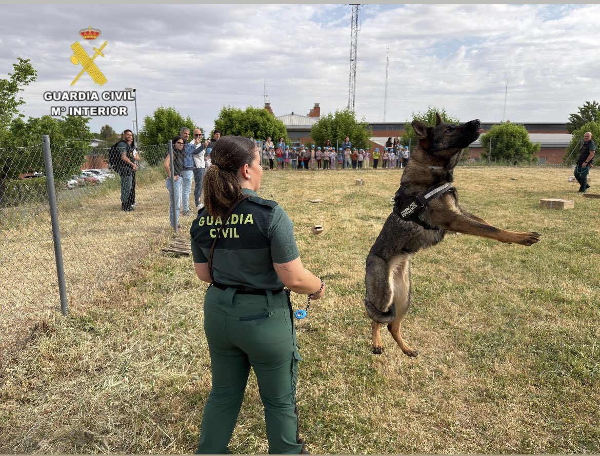 guardiacivilcc's tweet image. Cerca de 700 escolares de 13 centros de la provincia han participado hoy en la exhibición de medios en la Comandancia de Cáceres, dentro del #PlanDirector 🚓👮‍♂️

Gracias a todos por vuestra ilusión y participación👏

#Cáceres #SeguridadEscolar