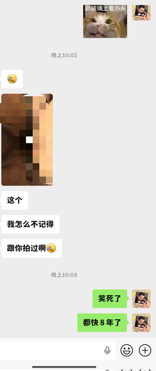 我也叫毛毛 tweet media