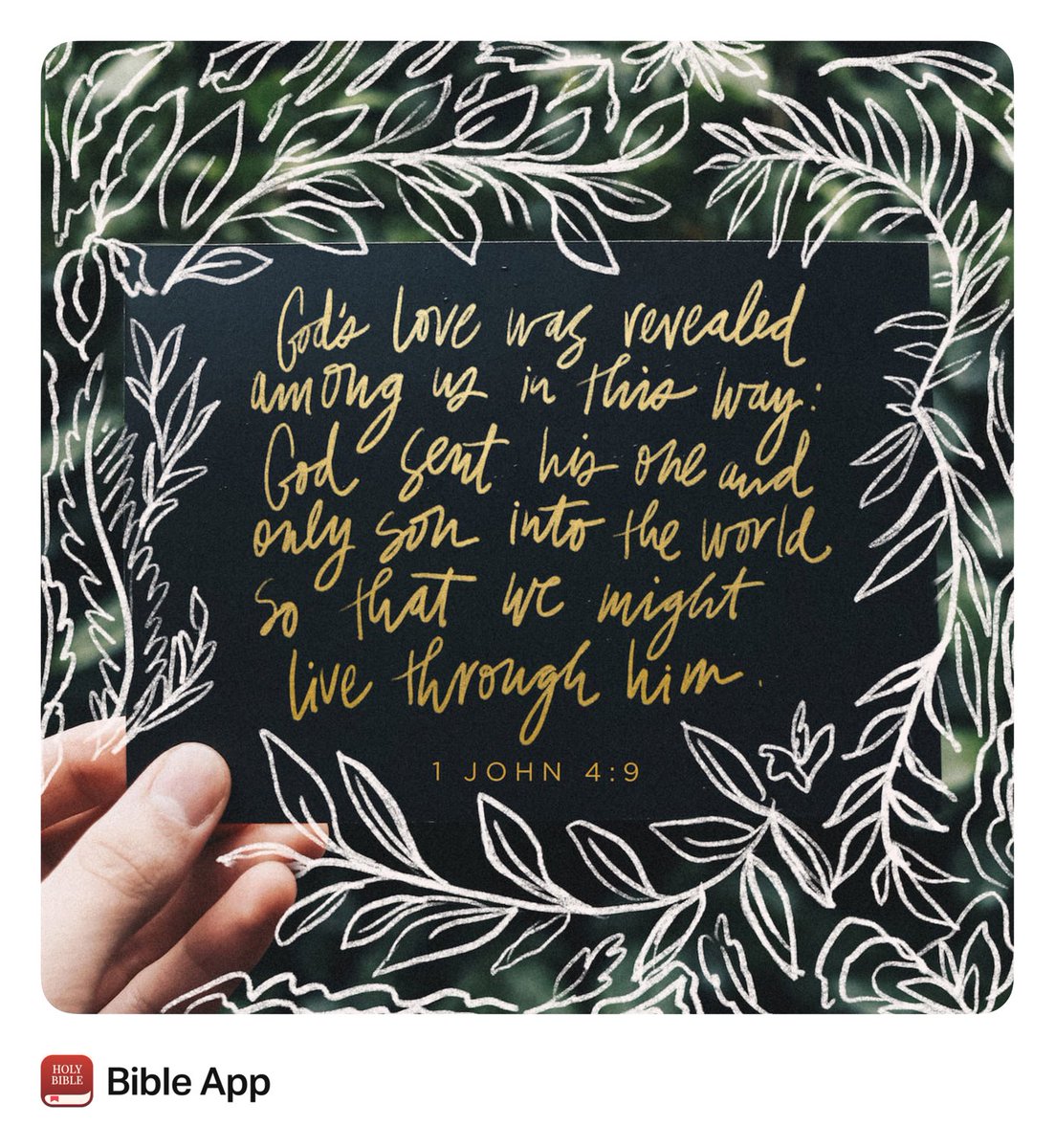 Nanette Gray tweet media