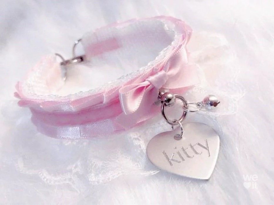 KittyFinsub tweet media