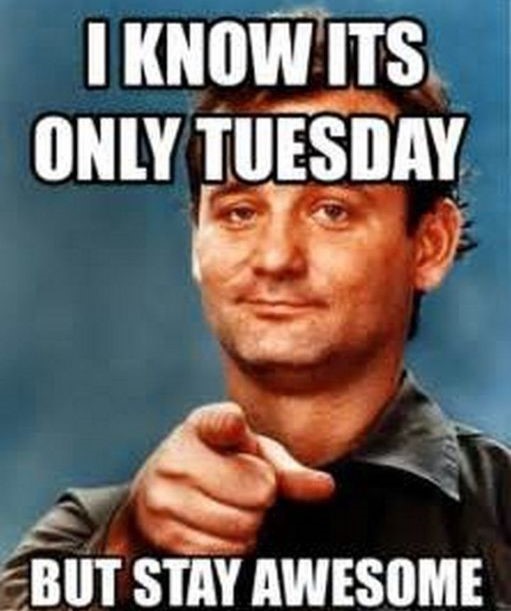 AmericaReal tweet media