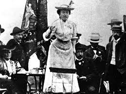 David Walsh tweet media