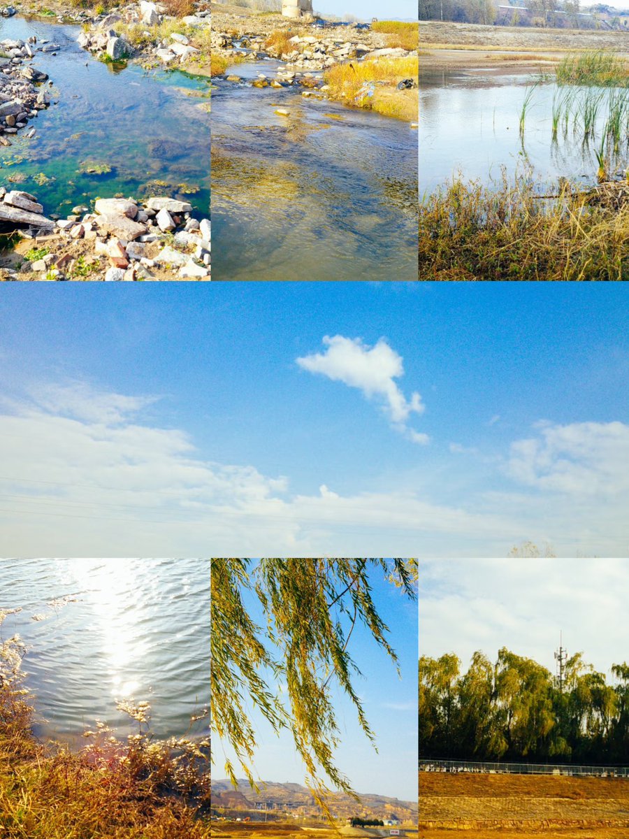 lalalongfilm 🎞 กล้องดิจิตอล กล้องฟิล์ม tweet media