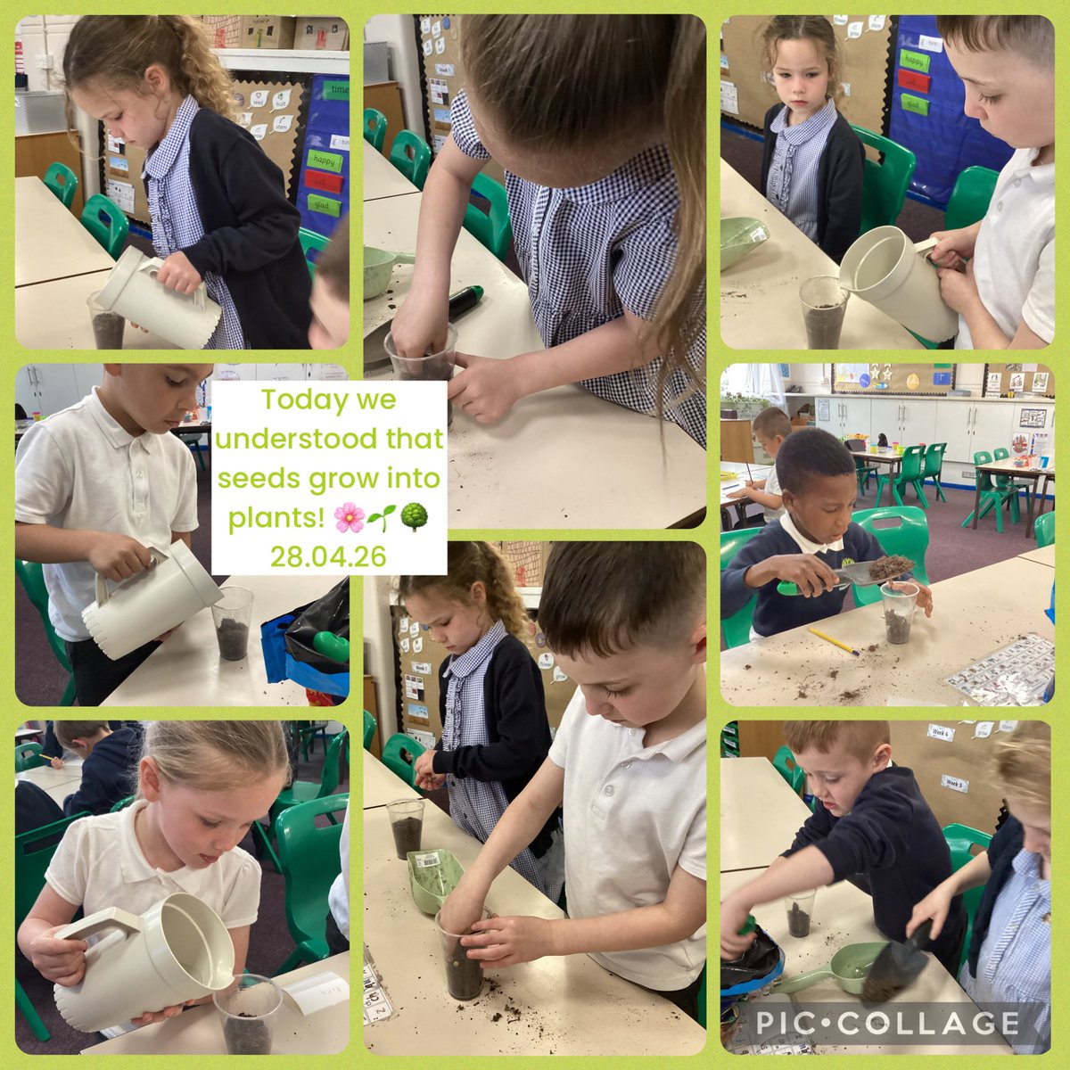 Egremont Year 1/2 tweet media