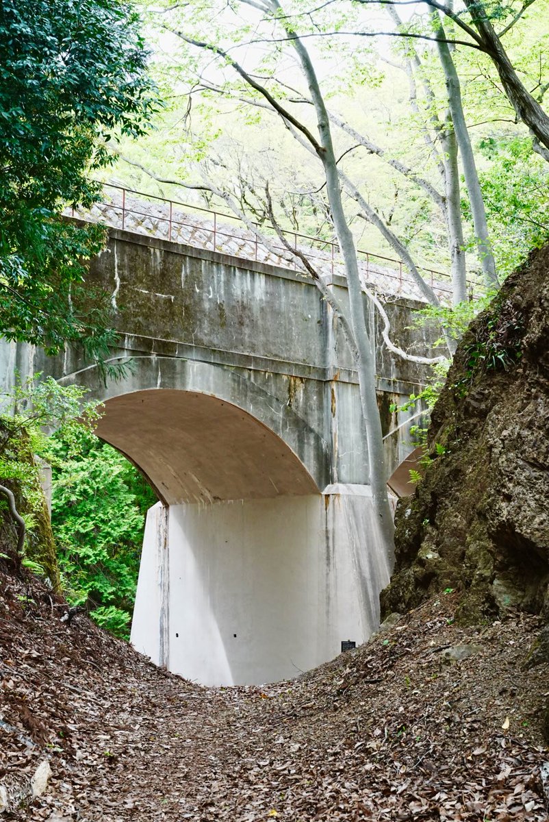 phyrexianMoon's tweet photo. 山梨山中の遺跡探索。 https://t.co/OxDBNrImbX