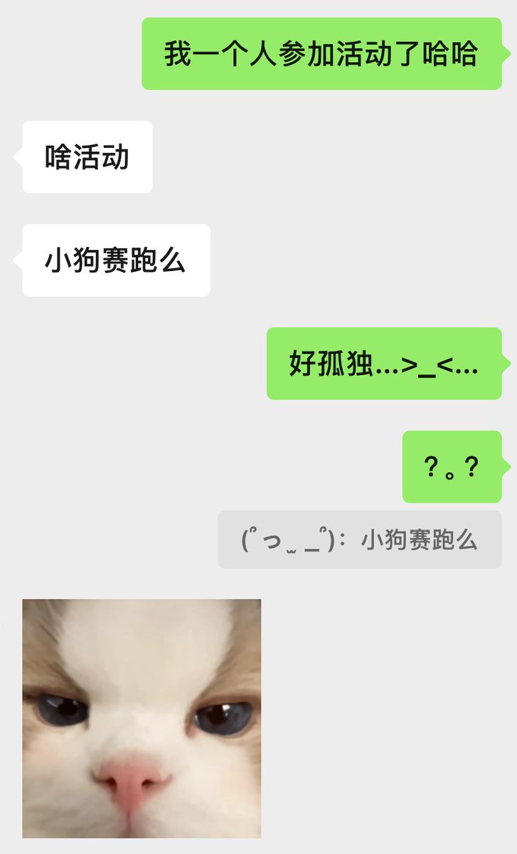 小狗变的૮ ・ﻌ・ა tweet media