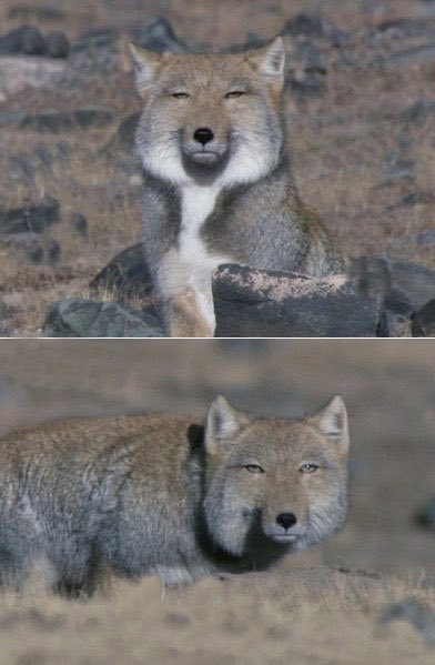 실화냐고
 ㄴ 실화라고;;;