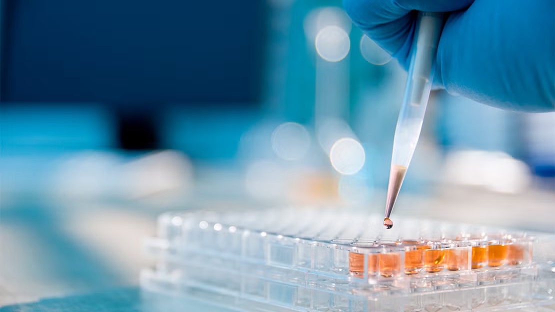 AI startup founded by #UofT alumni to revive failed drug candidates 🧫 uoft.me/clR