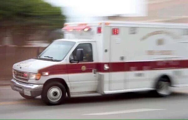 星野シア(零)⭐️ tweet media