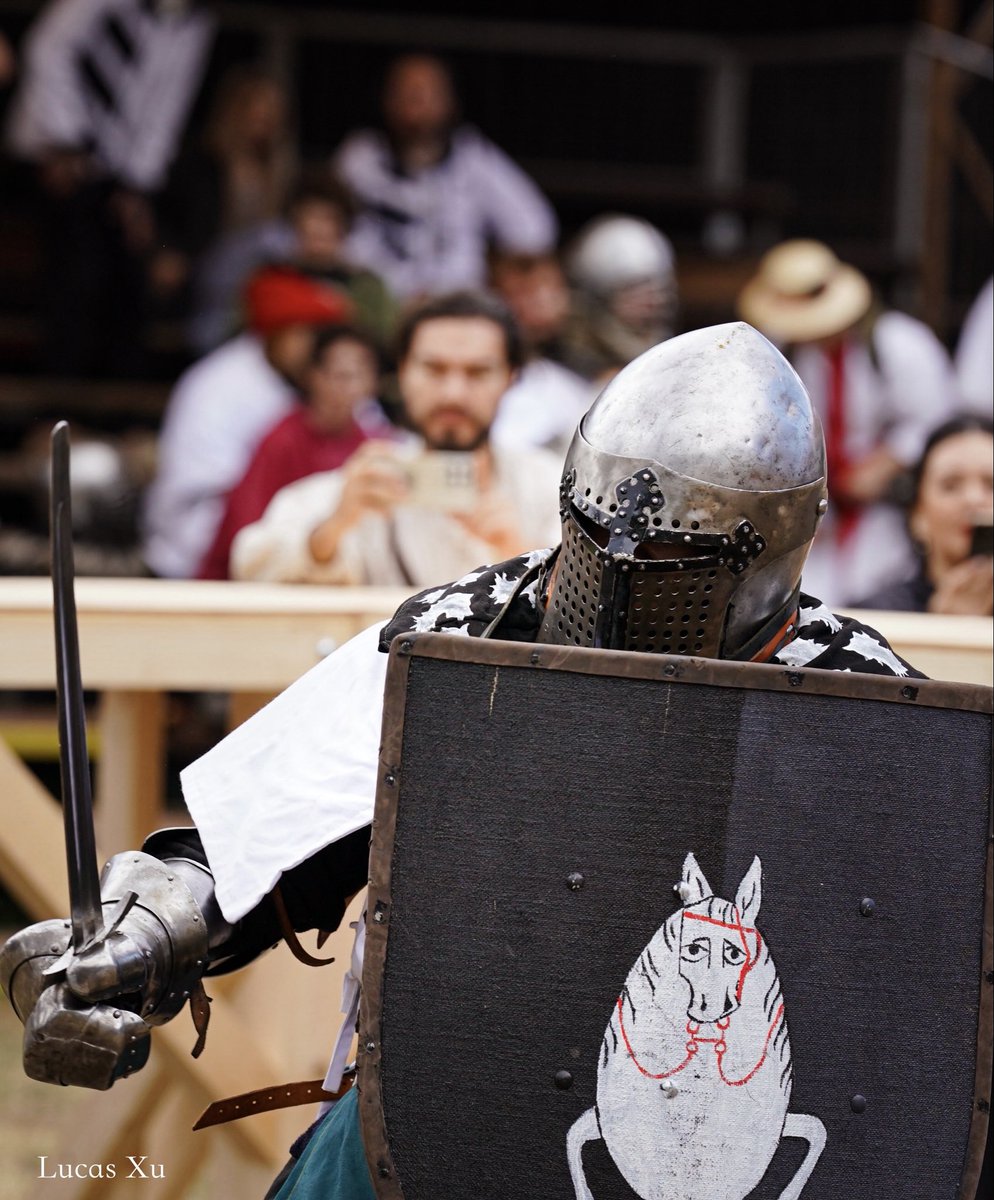 xuhui980's tweet image. 《The art of 🛡️》
From different countries, warriors and artists.
（Buhurt International World Championships Visegrád 2025）
#buhurt #knight #medievalcombat #medieval 
#armoredcombat
