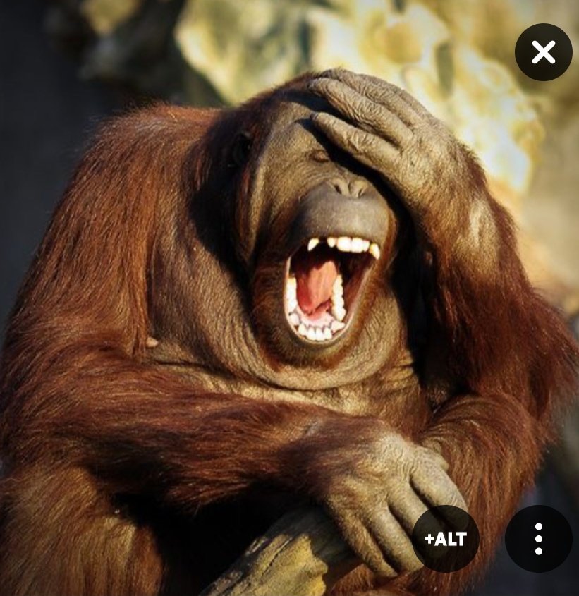 Renato Ragus, Jr. tweet media