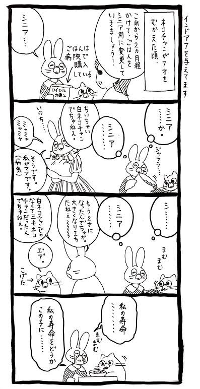 うさぎのみみちゃん😇デザフェス両日西1階B-10 tweet media